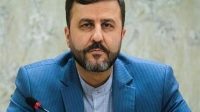 غریب آبادی: نظام تنگه هرمز نیاز به یک تشکیلات مدیریتی جدید دارد