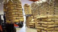 چای بی شناسنامه در بازار؛حلقه گمشده نظارت بر واردات و بسته‌بندی