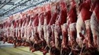 نیاز به واردات گوشت قرمز نداریم