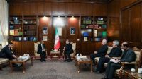 دیدار عراقچی با دبیرکل دی‌۸/ تأکید بر تداوم حمایت از ایران و مقابله با یکجانبه‌گرایی