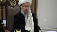 طالبان: بازگشت ۸ میلیون افغان، چالش‌های اقتصادی را تشدید کرده است