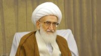آیت الله نوری همدانی: دفاع ایران، دفاع از امنیت منطقه است