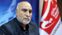 کشت غیرمجاز خشخاش  در کشور محدود است/فناوری کشت شقایق را نداریم