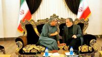گفت‌وگوی عراقچی با وزیر کشور پاکستان در فرودگاه مشهد