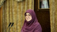 سخنگوی دولت: دولت از عملکرد اقتصادی خود اصلاً راضی نیست