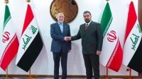 وزیر مجلس در دیدار با رئیس مجلس عراق: آمریکا باعث بروز ناامنی در منطقه است
