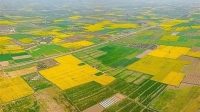 تغییر کاربری روزانه ۶.۷ هکتار از اراضی کشاورزی کشور
