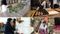 مقابله با مهاجرت روستایی با ابزار تسهیلات خرد