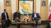 ورود وزیر کشور پاکستان به تهران با استقبال مومنی