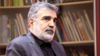 سخنگوی سازمان انرژی اتمی: ایران گزینه‌های زیادی برای دفاع از خود دارد