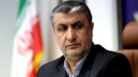 فشار آمریکا به اتریش علیه ایران/ رئیس سازمان انرژی اتمی به نشست آژانس نرسید