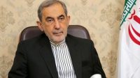 ولایتی: امنیتِ وارداتی، تاریخ مصرف دارد